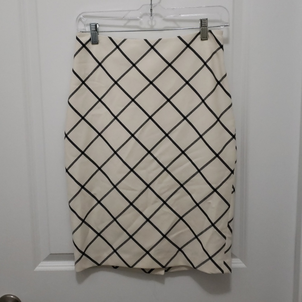 Limited Skirt